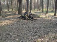 Городище з panoramio.com