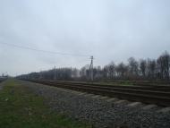 Пашківці з panoramio.com