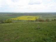 Арциз з panoramio.com