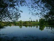 Шевченкове з panoramio.com