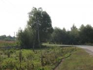 Обмачів з panoramio.com