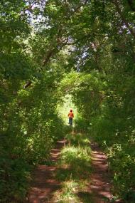 Піски з panoramio.com