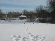 Кам'яне з panoramio.com