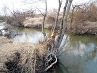 Гостинцеве з panoramio.com