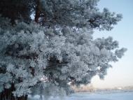 Верхоли з panoramio.com