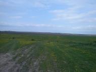 Богородичин з panoramio.com