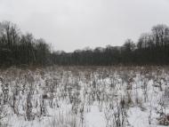 Заріг з panoramio.com