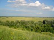 Заможнє з panoramio.com