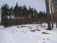 Суслівка з panoramio.com