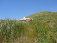 Пшонянове - Останні фото