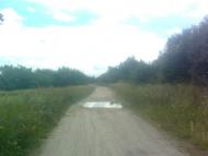 Мочалки з panoramio.com