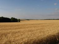 Манцівка з panoramio.com