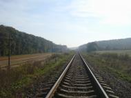 Лісоводи з panoramio.com