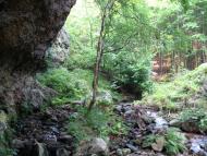 Ільниця з panoramio.com