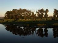 Комар з panoramio.com