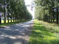 Сенкевичівка з panoramio.com