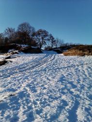 Малеве з panoramio.com