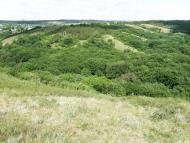 Оріхове з panoramio.com