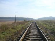 Лісоводи з panoramio.com