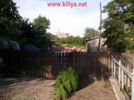 Шевченкове - Останні фото