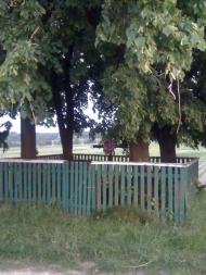 Замок з panoramio.com