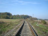 Лісоводи з panoramio.com