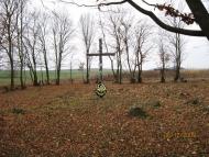 Сасів з panoramio.com