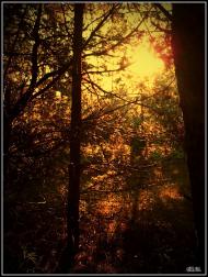 Три Копці з panoramio.com