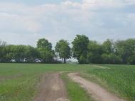 Яцьки з panoramio.com