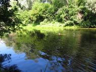 Кам'яне з panoramio.com