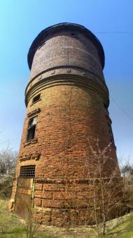 Новгородське з panoramio.com