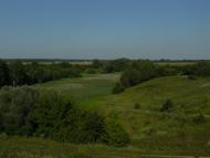 Вербки з panoramio.com