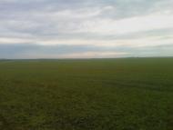 Олексіївка - Останні фото