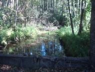 Бондарня з panoramio.com