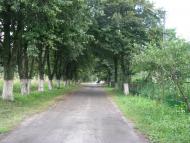 Демидів з panoramio.com