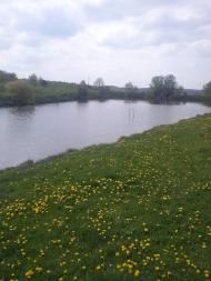 Богородичин з panoramio.com