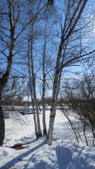 Гоголеве з panoramio.com