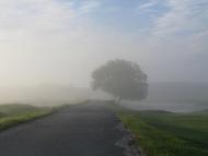 Звіздівка з panoramio.com