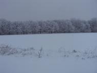 Леськівка з panoramio.com