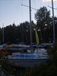 Осещина з panoramio.com