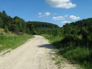 Видра з panoramio.com