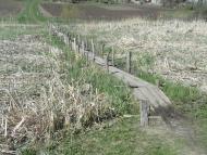 Рівне з panoramio.com