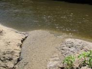 Підлісне з panoramio.com