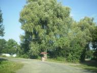 Лажева з panoramio.com