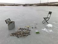 Rybynske - Latest photos