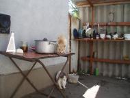 Бухарів - Останні фото