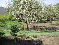 Темрюк з panoramio.com