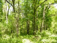 Хмельове з panoramio.com