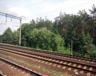 Княжичі з panoramio.com