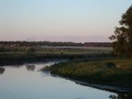 Комар з panoramio.com